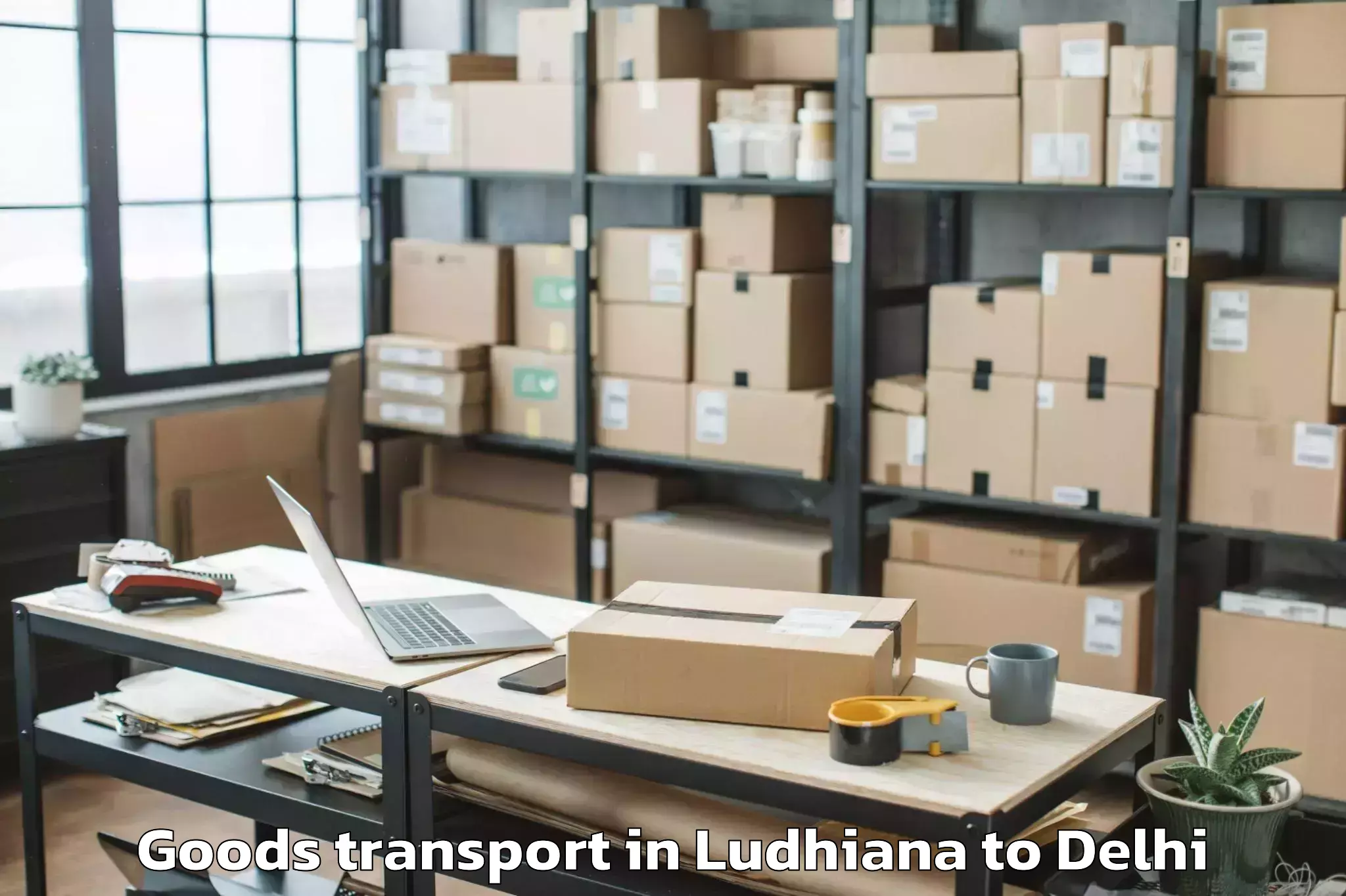 Professional Ludhiana to East Delhi Mall Goods Transport